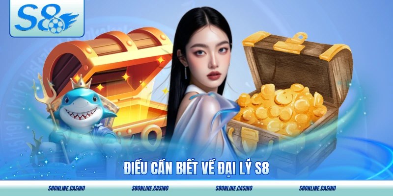 Điều cần biết về đại lý S8