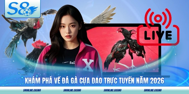 Khám phá về đá gà cựa dao trực tuyến năm 2026