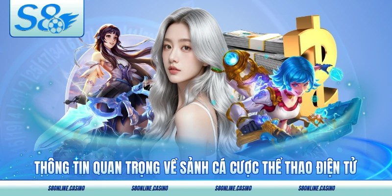 Thông tin quan trọng về sảnh cá cược thể thao điện tử năm 2026